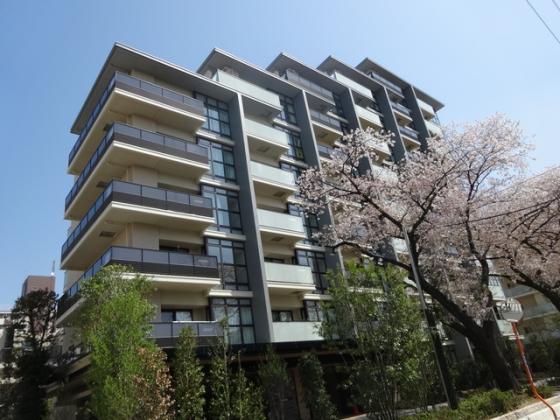 マンションの前の桜並木が本当にきれいです♪