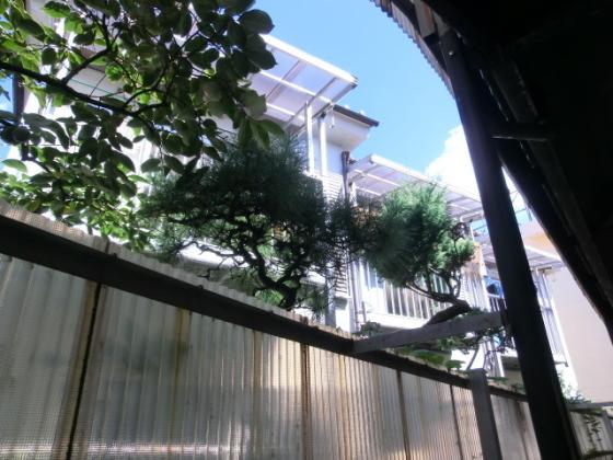 環境の良い地域です♪