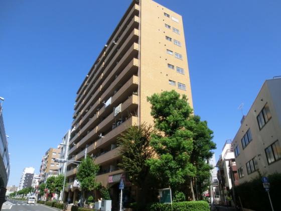 陽当たり良好の分譲賃貸です。
