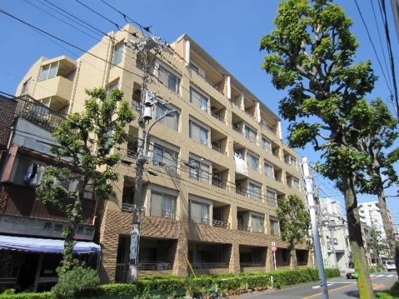 陽当たりも良好です